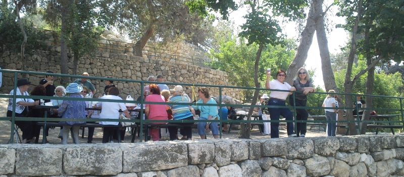 טיול מאורגן